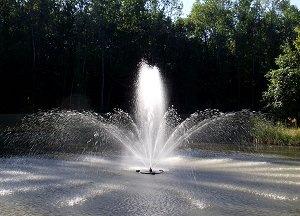 decorative fountain head