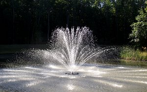 decorative fountain heads